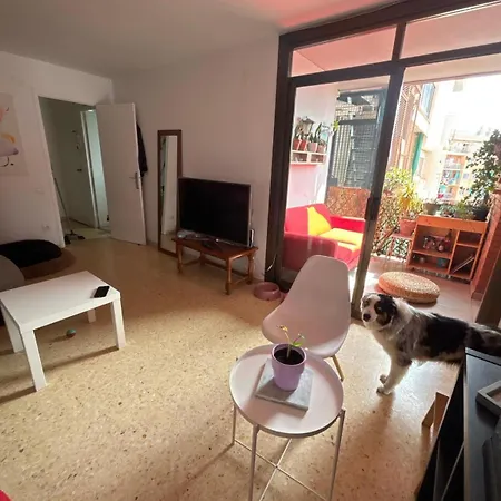 Vacacional 1 Persona Camping Barcelona