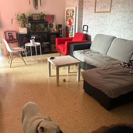 Campsite Vacacional 1 Persona Barcelona